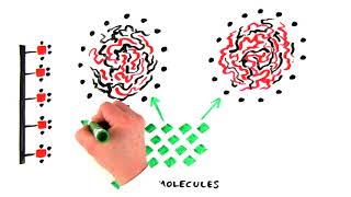 Introduction to Hydrophobic Interaction Chromatography [upl. by Oak449]