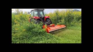 Kubota Mulcher Demo [upl. by Naujd]