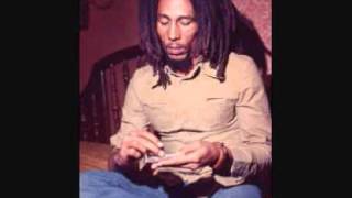 Bob Marley amp the Wailers  Zimbabwe [upl. by Aieki106]