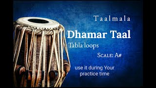 Dhamar Taal Tabla Loops [upl. by Eedeed]