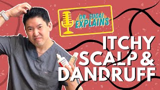 Dr Sugai Explains Itchy Scalp and Dandruff What Shampoos to Consider [upl. by Kaylyn]