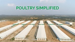 Dhumal Industries  Poultry Simplified [upl. by Krishnah561]