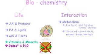 An Introduction to Biochemistry [upl. by Yralam]