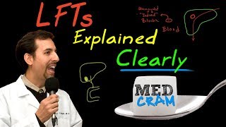 Liver Function Tests LFTs Explained Clearly by MedCramcom [upl. by Partan]