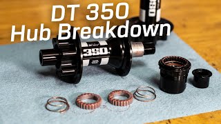 DT 350 Hub Breakdown With Sound  Quick Bits [upl. by Derby208]