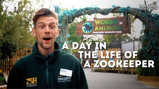 A Day In The Life Of A Zookeeper [upl. by Dobson]