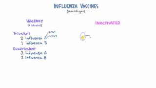 Influenza Vaccines [upl. by Ailahtan]