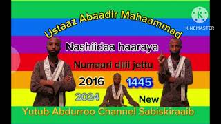 New Nashiidaa haaraya Ustaaz Abaadir mahaammad [upl. by Eelydnarb]