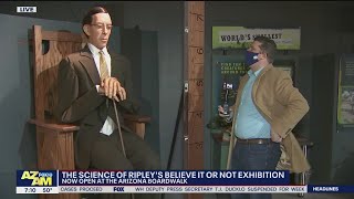 Ripleys Believe It or Not exhibit opens on Arizona Boardwalk  FOX 10 AZAM [upl. by Enrico]