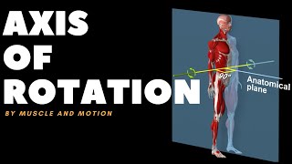 Understanding Axes of MovementRotation [upl. by Meisel370]