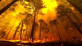 Yosemite Forest Fire Time Lapse and Flyover [upl. by Newfeld]