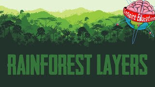 The 4 Layers of the Rainforest [upl. by Aruasor]