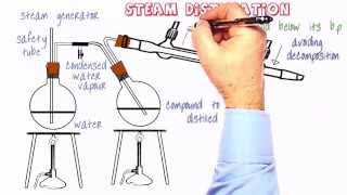 Organic Practical Setup 10 Steam distillation [upl. by Drannek]