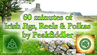 60 minutes Irish Jigs Reels amp Polkas [upl. by Verner336]