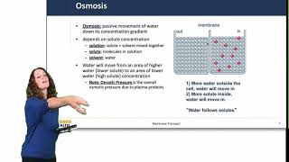 Cell Physiology Membrane Transport [upl. by Anelrihs494]