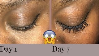 7 DAY OF CASTOR OIL GREW MY EYELASHES CRAZY RESULTS [upl. by Vedi]