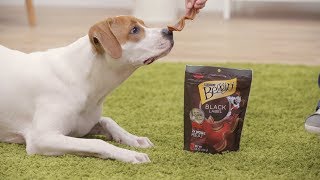 Beggin Bacon Dog Treats  Chewy [upl. by Lindner]