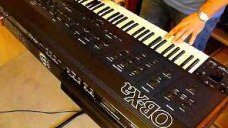 Oberheim OBXa Analog Synthesizer 1980 single sound demo [upl. by Tati]