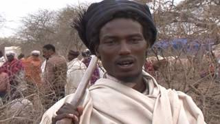 Gada system an indigenous democratic sociopolitical system of the Oromo [upl. by Ettesus]