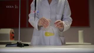 REDOX TITRATION IRON 2 WITH POTASSIUM PERMANGANATE [upl. by Lenes375]