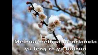 Mei HuaPlum flower  Teresa Teng [upl. by Drauode]