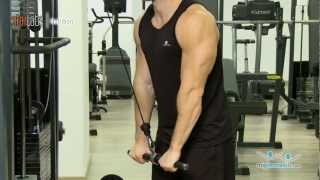 Extension de triceps con polea alta [upl. by Ennovad56]