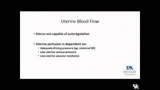 Obstetric Anesthesia Keyword Review Part 1 of 3  Dr Fragneto [upl. by Arraet]