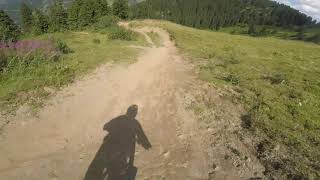 Morgins Bike Park La Noire Switzerland [upl. by Ebocaj]