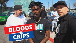 Inside LAs Most Dangerous Hoods  Meeting Bloods amp Crips 🇺🇸 [upl. by Nemlaz]