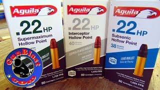 Aguila 22 Long Rifle Ammo  Gunblastcom [upl. by Betz]