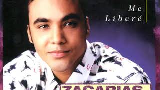 Estoy Enamorado  Zacarías Ferreira Audio Bachata [upl. by Rednazxela]