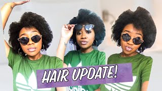 1 Month Natural Hair Update  Keratin Treatment  4C Hair [upl. by Salta]