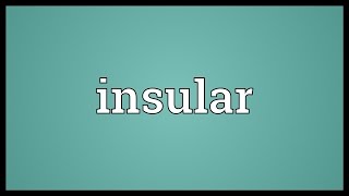 Insular Meaning [upl. by Cida]