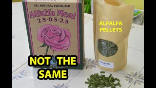 ALFALFA Pellets For Organic Fertilizer REAL TRUTH Reveal [upl. by Drusi]