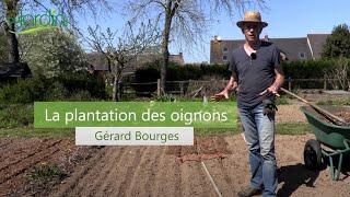 Comment PLANTER les OIGNONS [upl. by Janette]