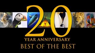 Best of the Best 20 Years of Natures Best Photography [upl. by Werra]