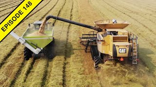 2020 California USA Rice Harvest  Tractor Video [upl. by Gweneth711]