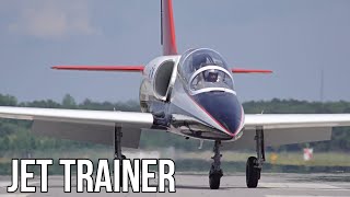 Learn How To Fly The L39 Tactical Jet Trainer [upl. by Patsis]