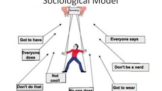 Sociological Model of Consumer Behaviour [upl. by Britte]