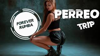 Perreo Trip  DJ Roviz Forever Rumba [upl. by Lodhia]