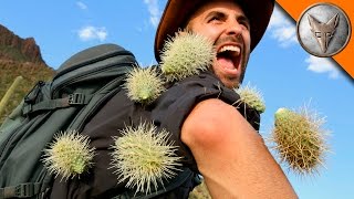 EXTREME Cactus Attack [upl. by Dyche]