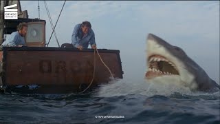 Jaws Shark with barrels HD CLIP [upl. by Woodhead]