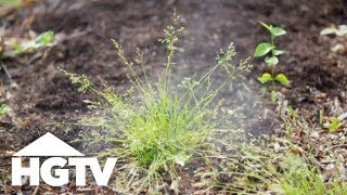 Way to Grow Which Natural Weed Killers Actually Work  HGTV [upl. by Celik]