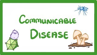 GCSE Biology  Communicable Disease 34 [upl. by Tenneb]