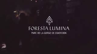 Foresta Lumina  Parc de la Gorge de Coaticook [upl. by Hewett741]