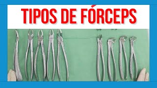 🔵 Tipos de FÓRCEPS DENTALES ✅ [upl. by Fennessy]