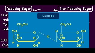 Reducing Vs Non Reducing Sugar  Lactose amp Maltose is a Reducing Sugar Sucrose is not Why [upl. by Formica207]