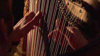 Franz Liszt  Consolation No 3  Sylvain Blassel harp [upl. by Melitta]