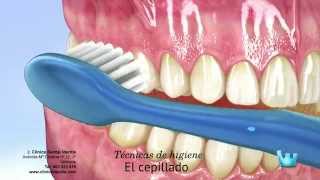 Cepillado seda dental y colutorios ¿cómo [upl. by Feirahs]