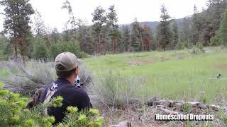 A mountain lions bone chilling scream [upl. by Hearn]